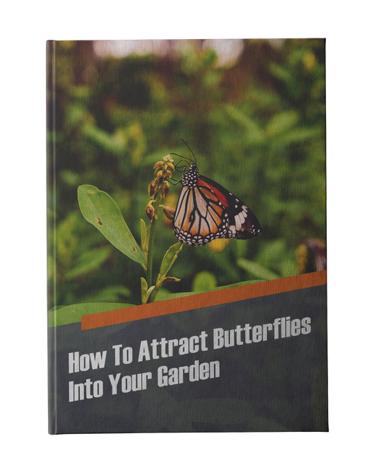 How To Attract Butterflies Into Your Garden